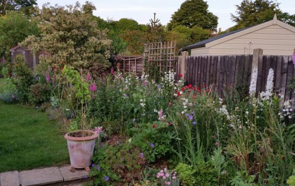 elliott_cottageborderinjune