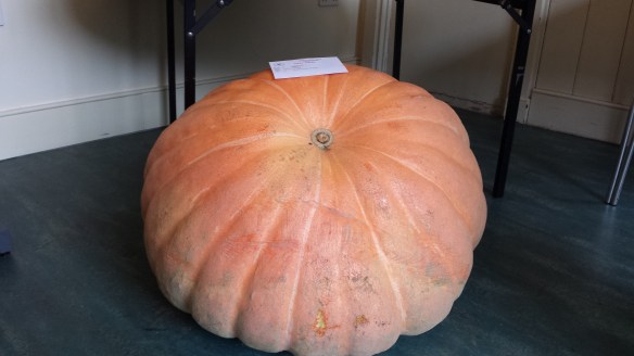 Biggest pumpkin 2018
