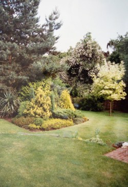 An early garden